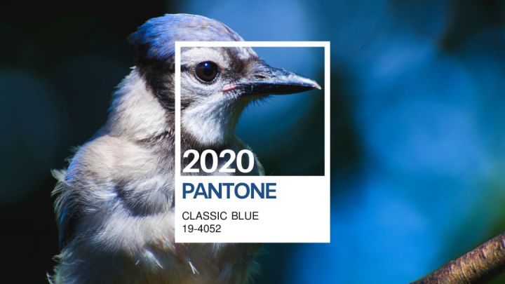 1604642559382786.jpg 504.jpg