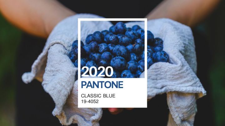 1604642565729626.jpg 505.jpg