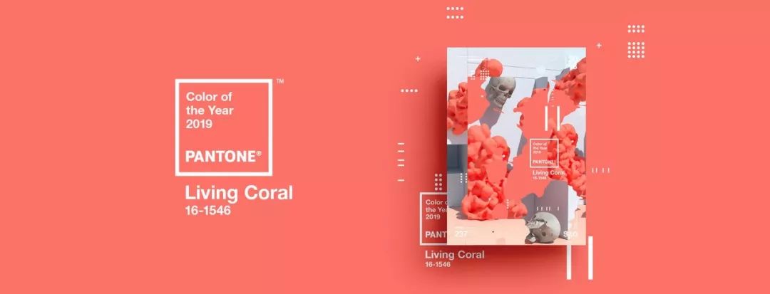 1604642638356987.jpg 509.jpg